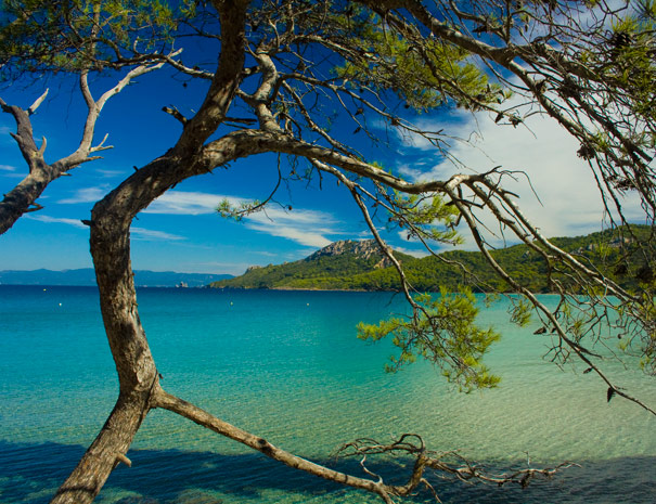 Plage à Porquerolles