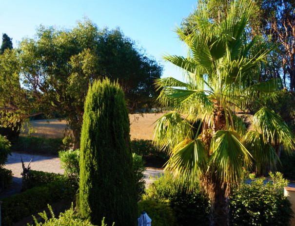 Vue depuis le balcon sud